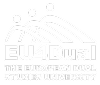 EU4Dual logo